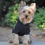 Flex-Fit Dog Hoodie - Black (Option: Large)