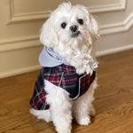 Weekender Dog Sweatshirt Hoodie - Red & Black Plaid Flannel (Option: X-Small)