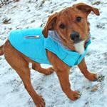 Weekender Dog Sweatshirt Hoodie - Light Blue (Option: Small)