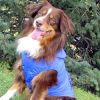 Packable Raincoat - Blue